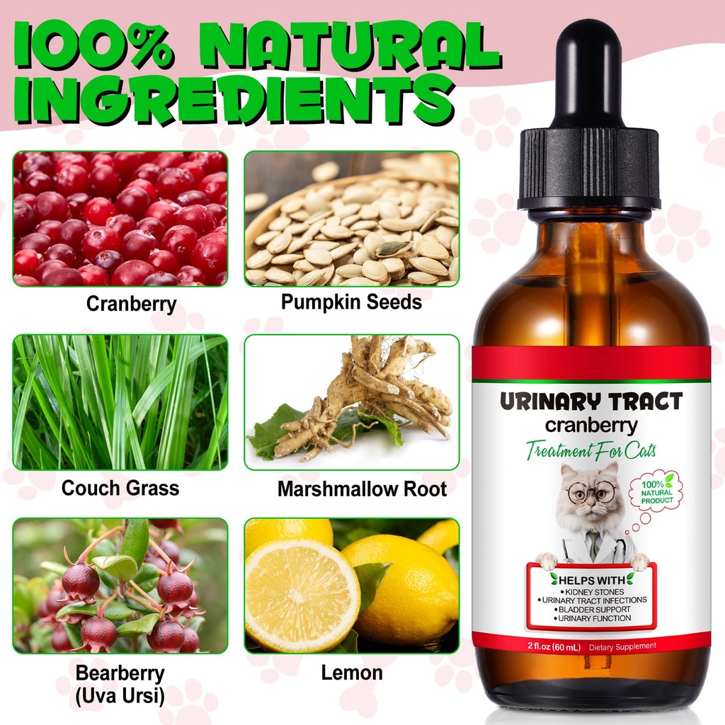 cat-uti-treatment-cat-urinary-tract-infe-5.jpg