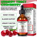 cat-uti-treatment-cat-urinary-tract-infe-2.jpg