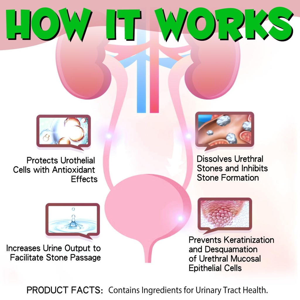 cat-uti-treatment-cat-urinary-tract-infe-3.jpg