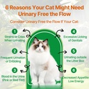 cat-bladder-remedy-for-stones-crystals-k-2.jpg