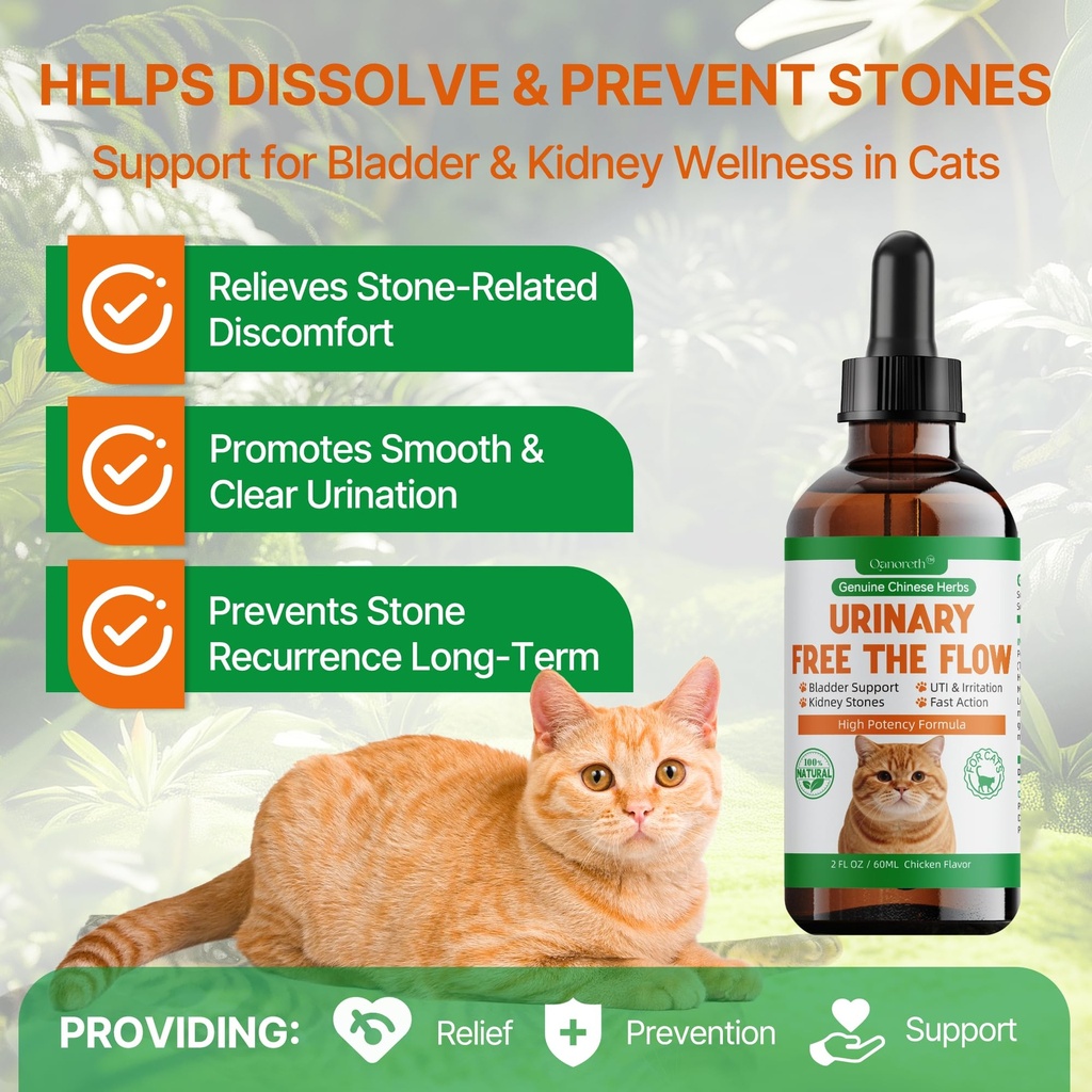 cat-bladder-remedy-for-stones-crystals-k-3.jpg