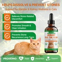 cat-bladder-remedy-for-stones-crystals-k-3.jpg