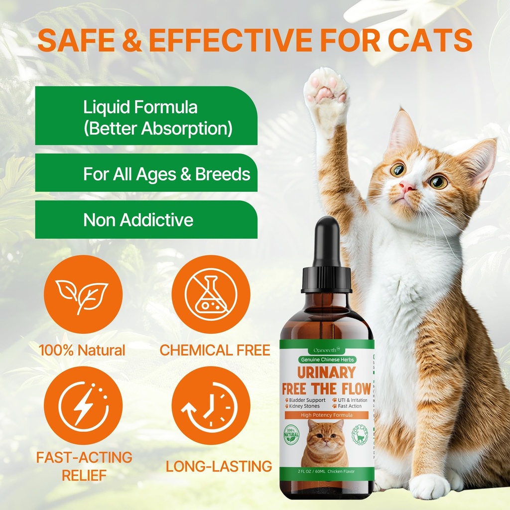 cat-bladder-remedy-for-stones-crystals-k-6.jpg