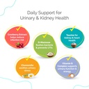 urinary-tract-infection-care-for-cat-dog-2.jpg