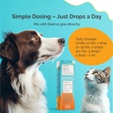 urinary-tract-infection-care-for-cat-dog-4.jpg