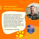 urinary-tract-infection-care-for-cat-dog-3.jpg