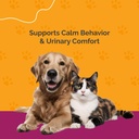 urinary-tract-infection-care-for-cat-dog-6.jpg
