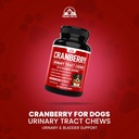 cranberry-supplement-for-dogs-uti-treatm-5.jpg
