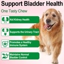 urinary-tract-for-dogs-dog-urinary-tract-2.jpg