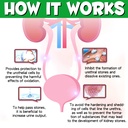 urinary-tract-for-dogs-dog-urinary-tract-3.jpg