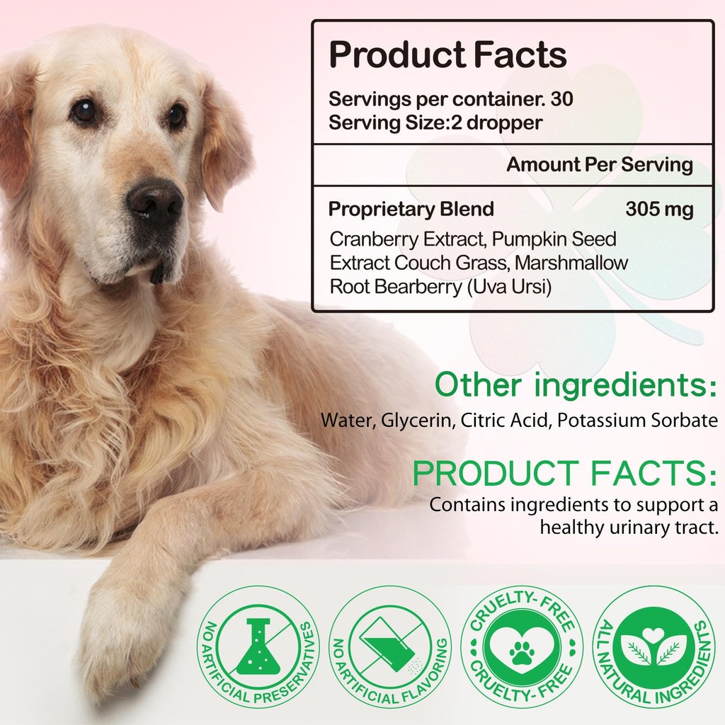 urinary-tract-for-dogs-dog-urinary-tract-5.jpg
