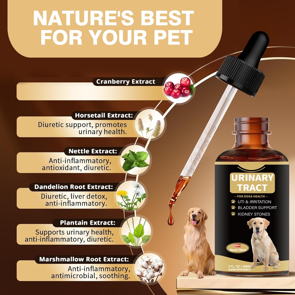 dog-uti-treatment-cranberry-supplement-d-4.jpg