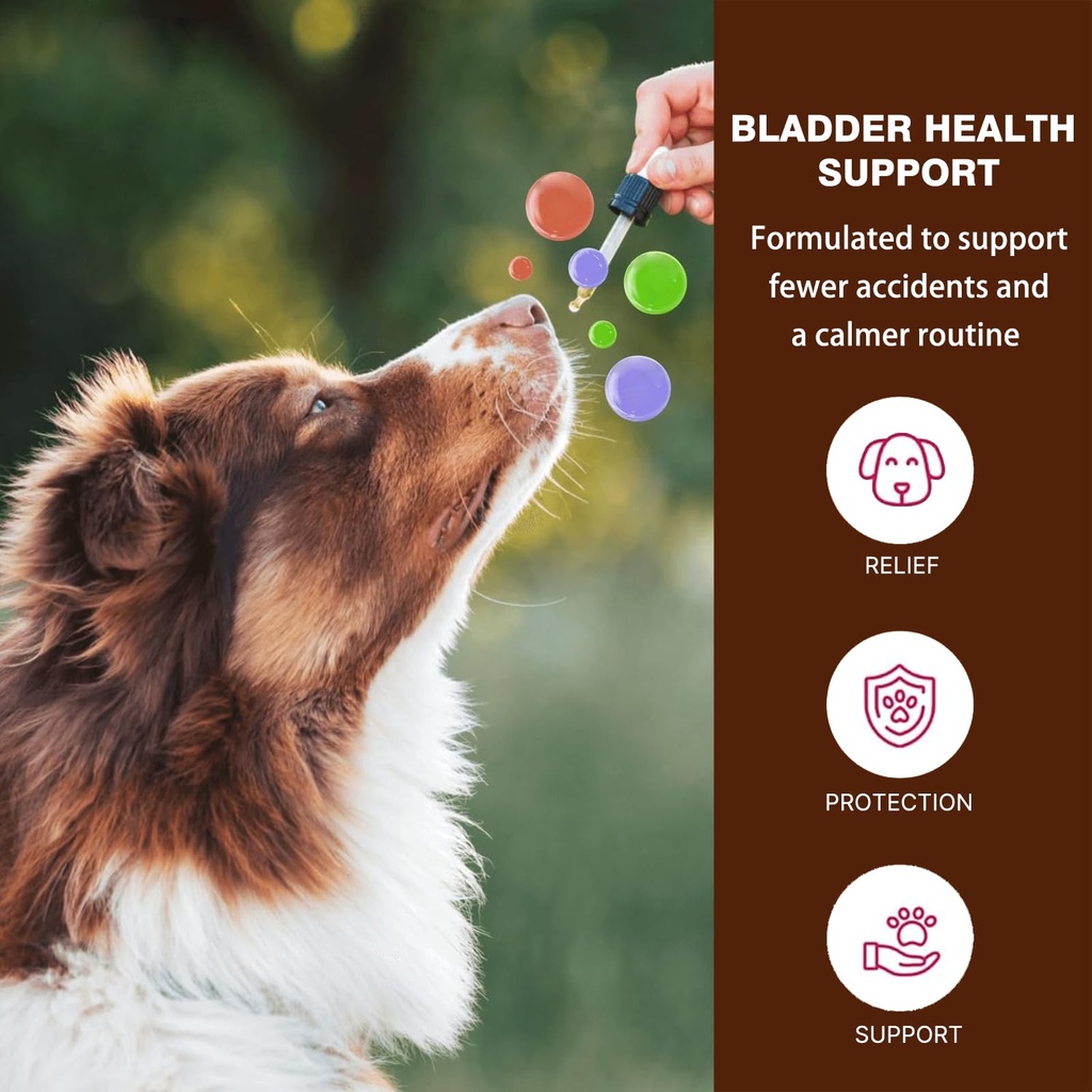 dog-uti-treatment-cranberry-supplement-d-6.jpg