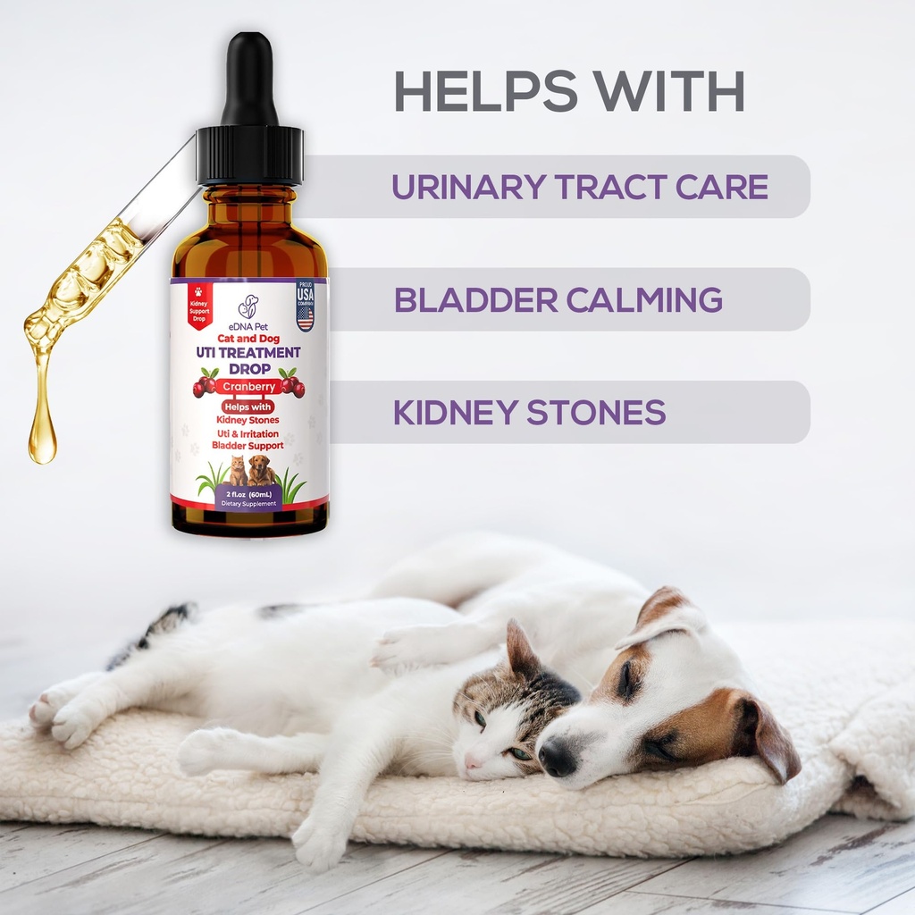 edna-pet-cat-dog-urinary-tract-infection-5.jpg