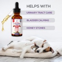 edna-pet-cat-dog-urinary-tract-infection-5.jpg
