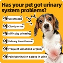 bladder-supports-chews-for-urinary-tract-2.jpg