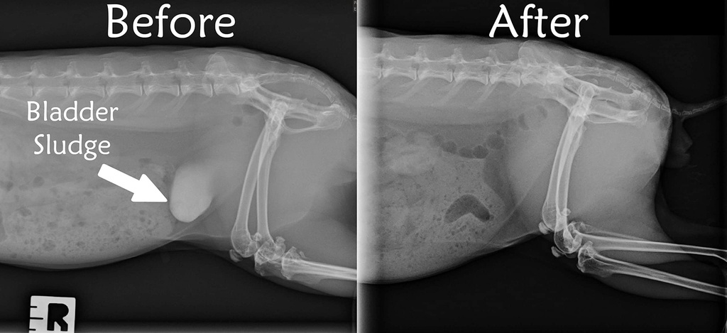 urinary-support-by-sherwood-pet-health-1-5.jpg
