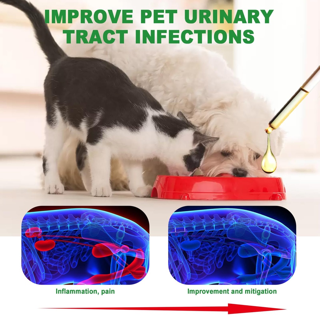 cat-dog-natural-uti-medicine-cranberry-s-3.jpg