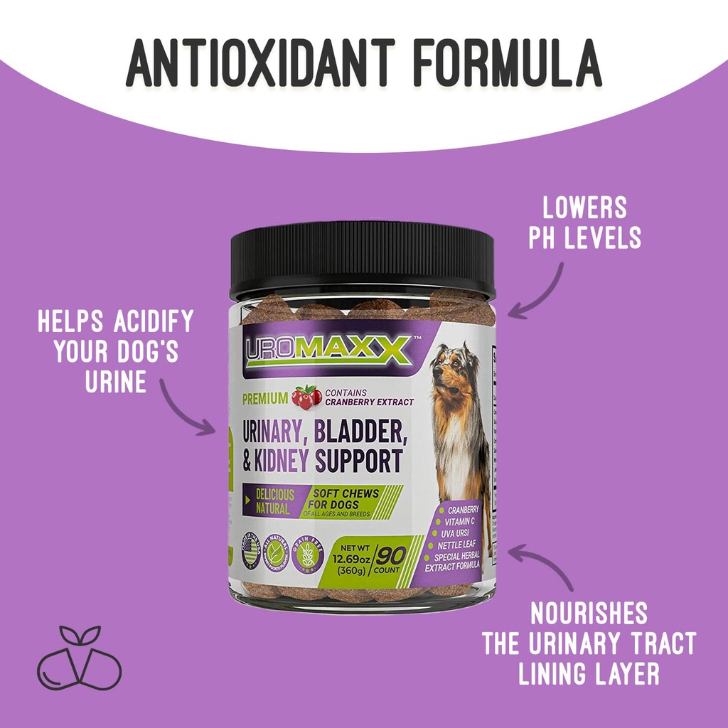 uromaxx-urinary-tract-infection-treatmen-2.jpg