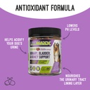 uromaxx-urinary-tract-infection-treatmen-2.jpg