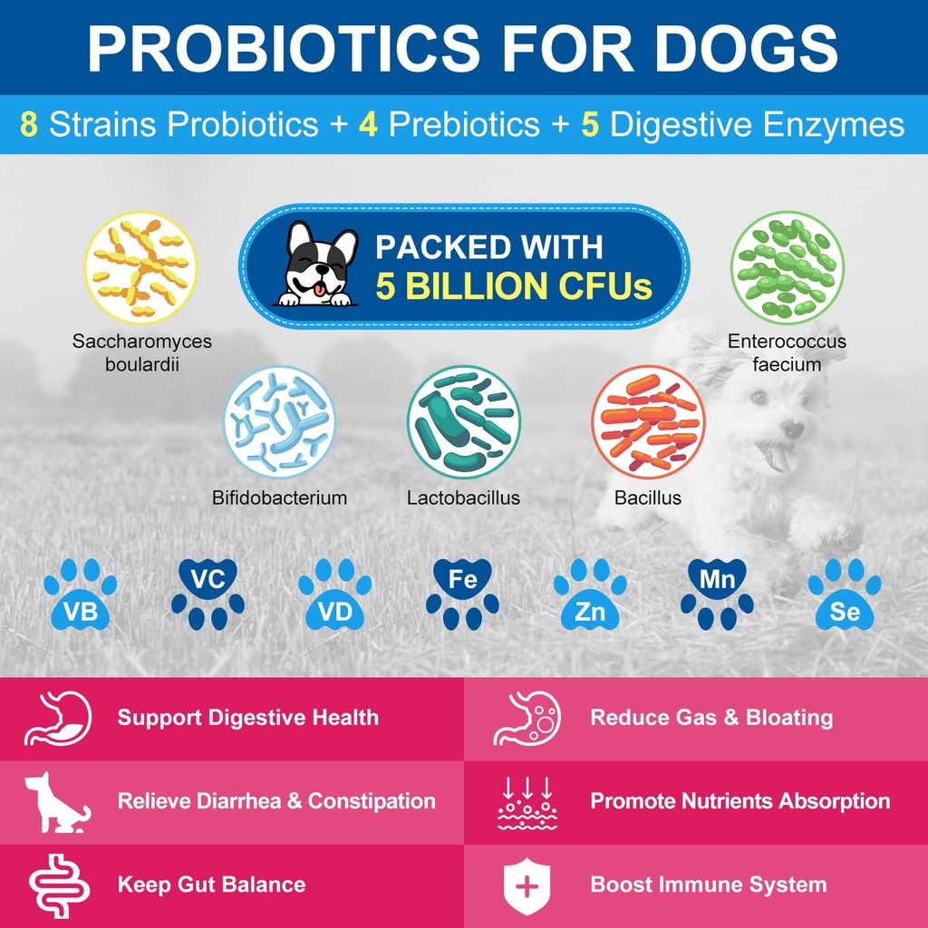 nature-target-dog-vitamins-powder-probio-4.jpg