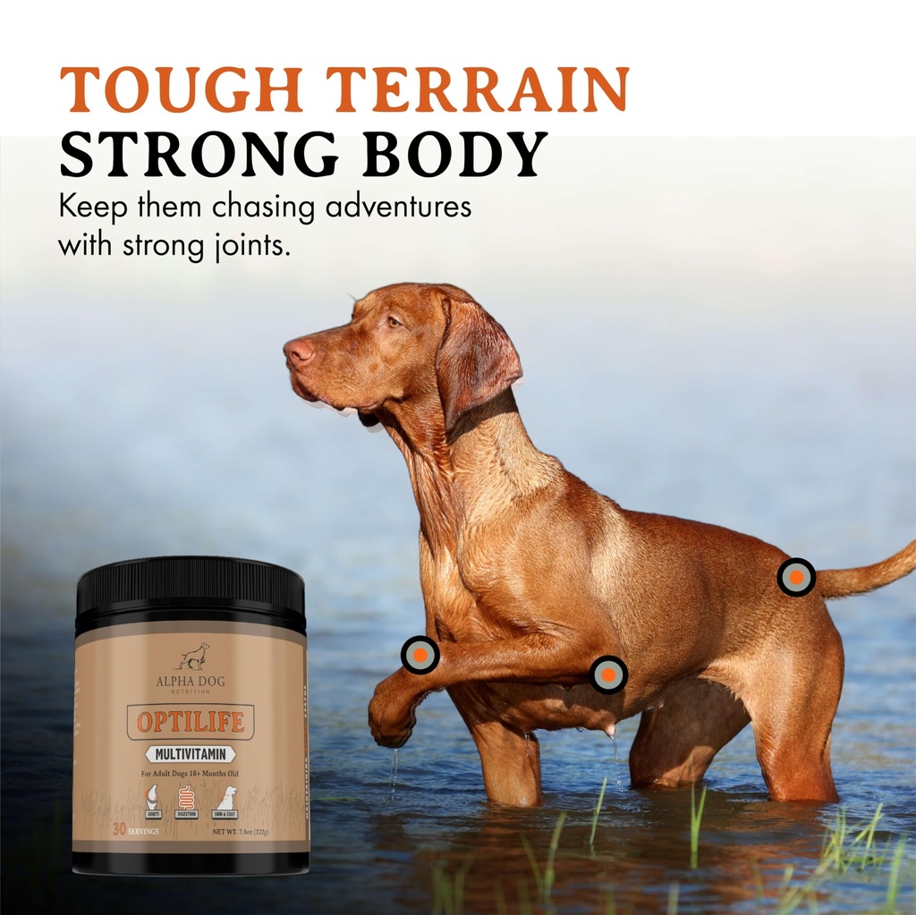 optilife-dog-multivitamin-powder-adult-d-3.jpg