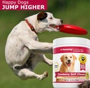 amazing-cranberry-for-dogs-pet-antioxida-3.jpg