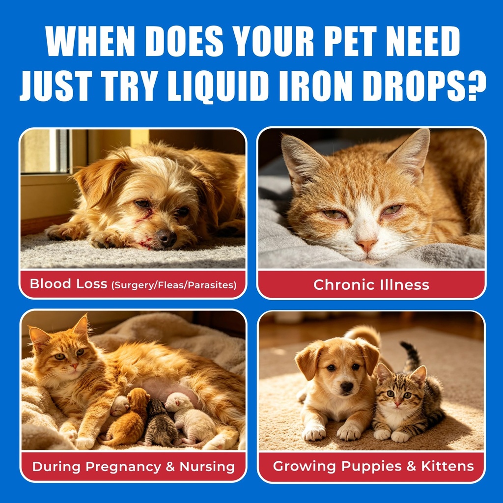iron-liquid-supplement-iron-for-dogs-cat-2.jpg