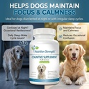 cognitive-support-for-dogs-promotes-dog--6.jpg