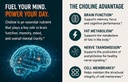 1-pack-choline-bitartrate-900mg-per-serv-5.jpg