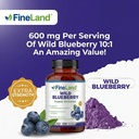 fineland-wild-blueberry-extract-rich-in--4.jpg
