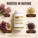 nad-premium-complex-1600mg-niacinamide-f-4.jpg