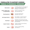toenail-renewal-solution-extra-strength--4.jpg