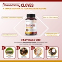 cloves-supplement-with-cinnamon-ginger-t-5.jpg