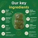 coolkin-greens-daily-gummies-adult-super-5.jpg