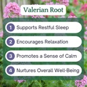 herb-lore-organic-valerian-root-tincture-2.jpg