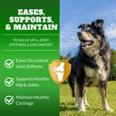 dog-joint-supplement-chews-with-glucosam-2.jpg