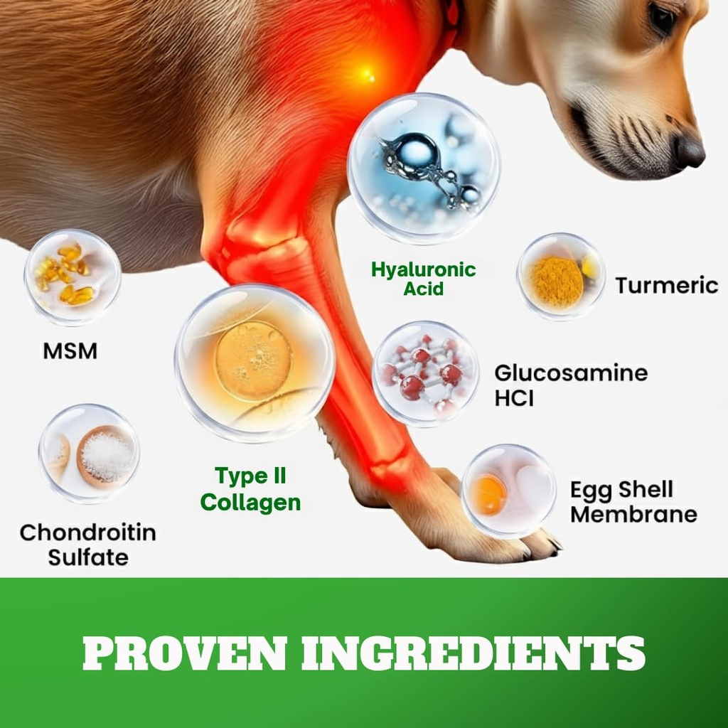 dog-joint-supplement-chews-with-glucosam-3.jpg