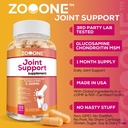 zooone-advanced-joint-support-supplement-2.jpg