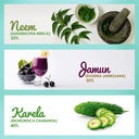herbal-and-ayurvedic-neem-karela-jamun-j-3.jpg