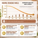 nmn-supplement-1000mg-nad-support-cellul-2.jpg