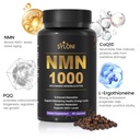 nmn-supplement-1000mg-7-in-1-nad-support-2.jpg