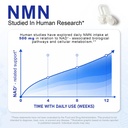 nmn-supplement-1000mg-4-in-1-nad-supplem-4.jpg