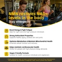 nmn-supplement-1000mg-resveratrol-coq10--5.jpg