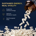 nmn-supplement-500mg-pure-organic-max-ab-2.jpg