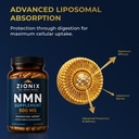 nmn-supplement-500mg-pure-organic-max-ab-5.jpg