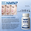 nmn-nicotinamide-mononucleotide-500mg-su-3.jpg
