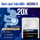 nad-supplement-12-in-1-liposomal-nad-plu-4.jpg