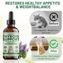 thyroid-support-for-cats-effective-appet-3.jpg