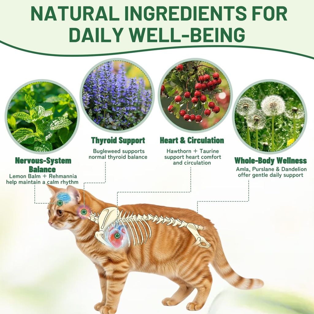 thyroid-support-for-cats-effective-appet-5.jpg